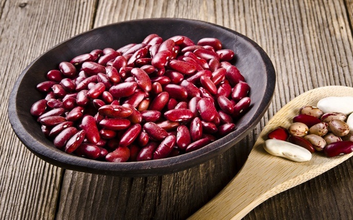 foods high in zinc - kidney beans
