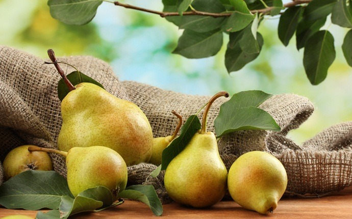 first foods for baby - pears