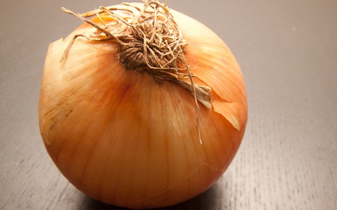 yogurt for yeast infection - use onion combined with yogurt for yeast infection