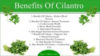 health benefits of cilantro