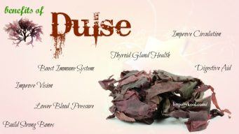 benefits of dulse for hair