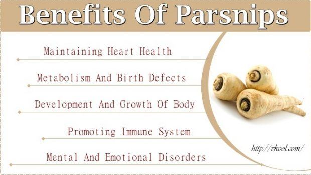 benefits of parsnips for health