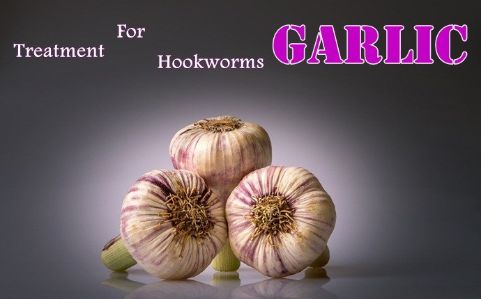 treatment for hookworms - garlic