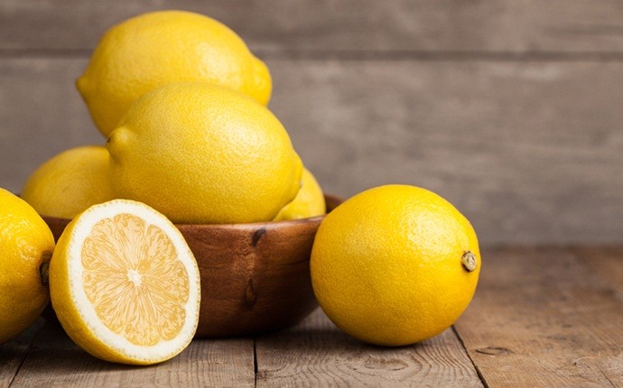 using lemon balm