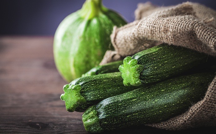 benefits of zucchini - it has an international pedigree