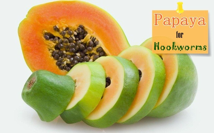 treatment for hookworms - papaya