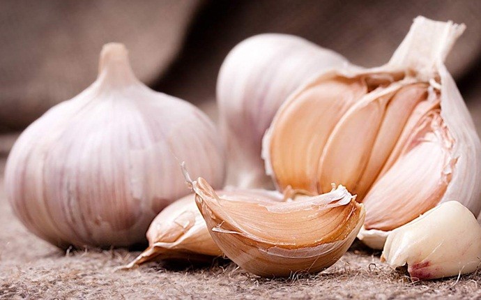 garlic for cold - raw garlic