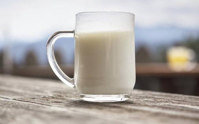 benefits of buffalo milk - supply protein