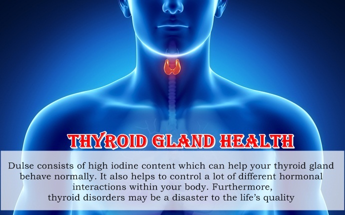 benefits of dulse - thyroid gland health