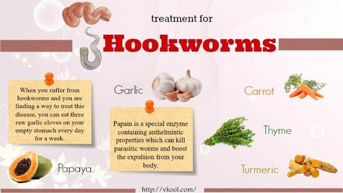 best treatment for hookworms