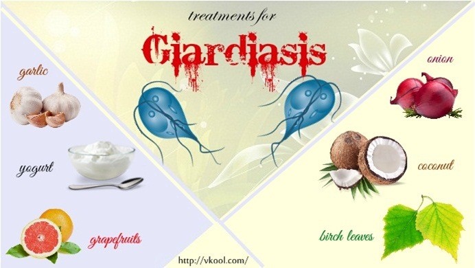 natural treatments for giardiasis