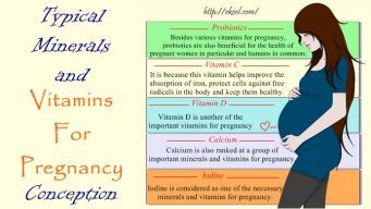 minerals and vitamins for pregnancy
