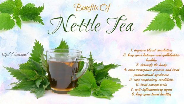 health benefits of nettle tea