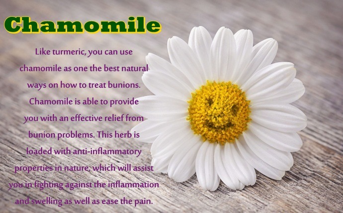 how to treat bunions - chamomile