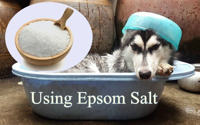 epsom salt