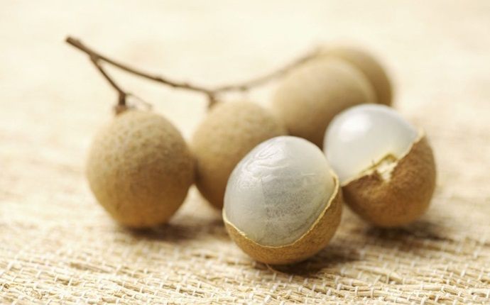 benefits of longan - storage