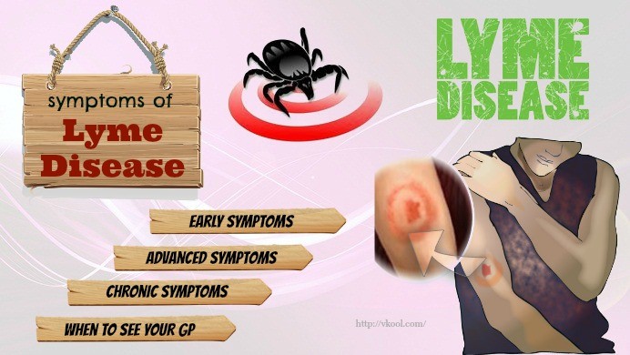 4 Common Signs And Symptoms Of Lyme Disease In Adults