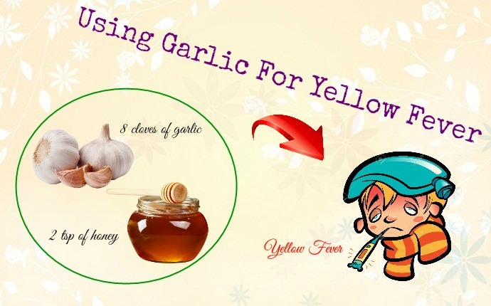 yellow fever treatments - using garlic