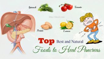 best foods to heal pancreas