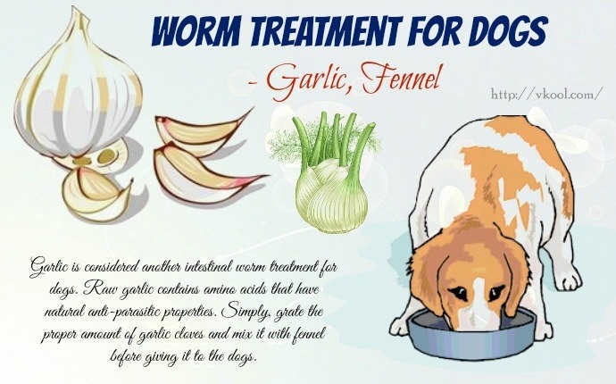 worm treatment for dogs - garlic