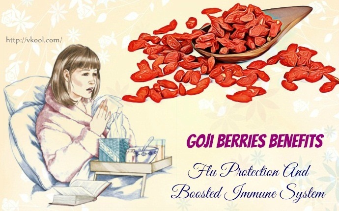 goji berries benefits - flu protection and boosted immune system