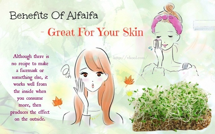 benefits of alfalfa - great for your skin