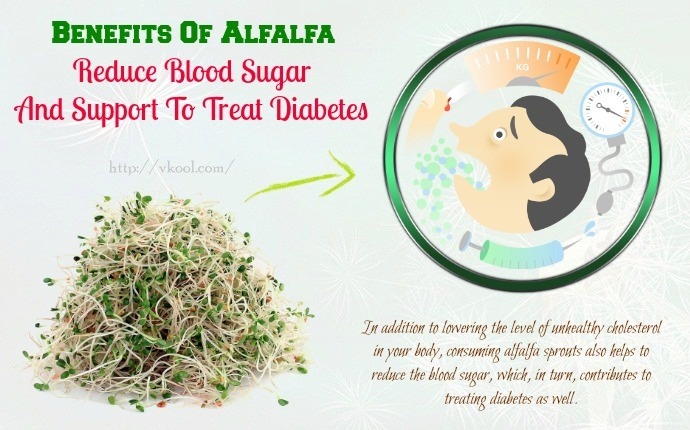 benefits of alfalfa - reduce blood sugar and support to treat diabetes