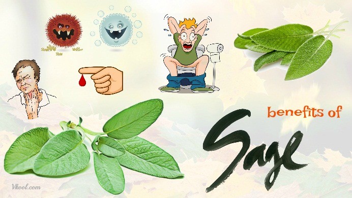 benefits of sage essential oil