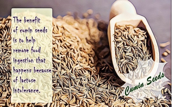home remedies for lactose intolerance - cumin seeds