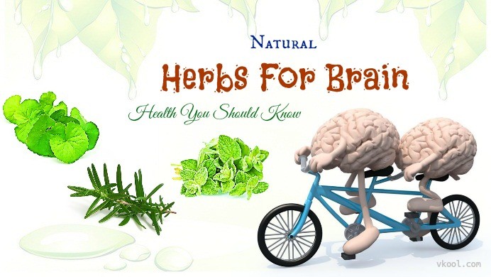 herbs for brain health