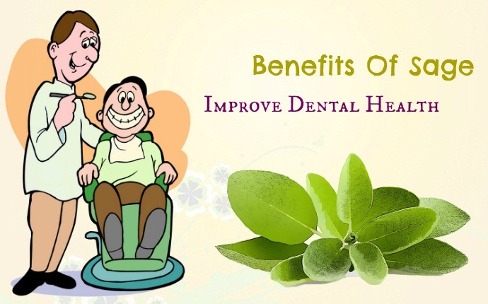 benefits of sage - improve dental health