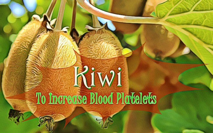 foods to increase blood platelets - kiwi