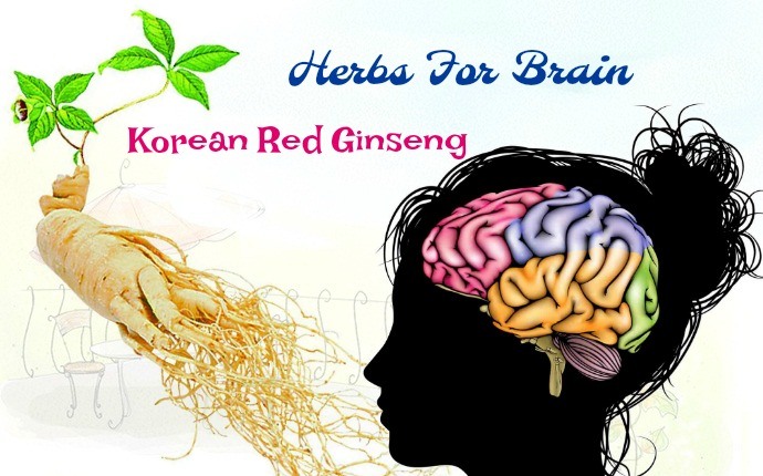 herbs for brain - korean red ginseng