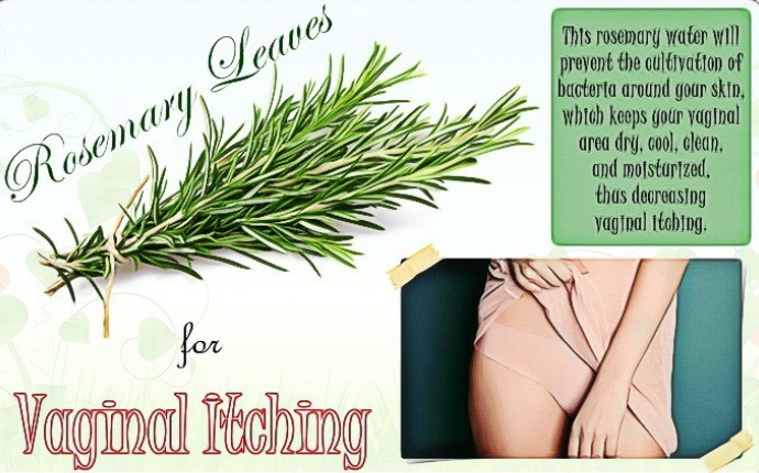 how to treat vaginal itching - rosemary leaves