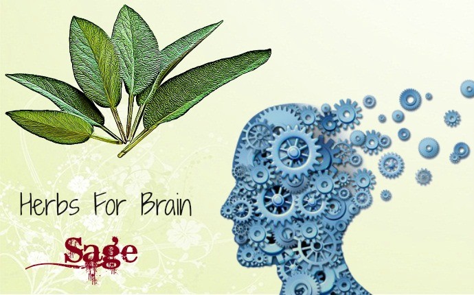 herbs for brain - sage