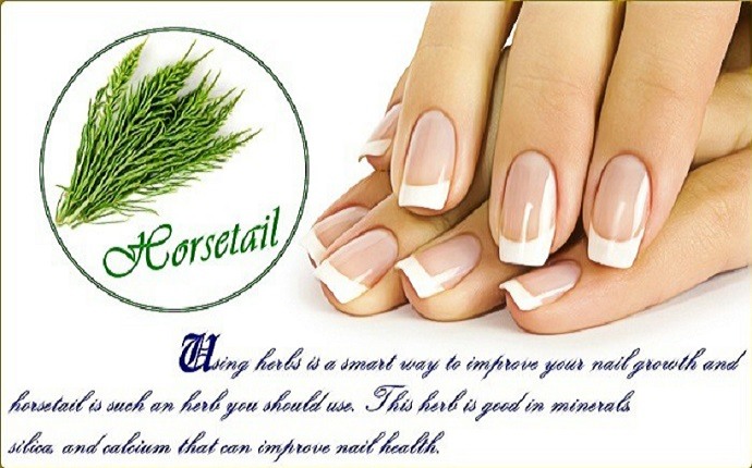 home remedies for nail growth - horsetail