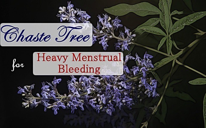 home remedies for heavy menstrual bleeding - chaste tree