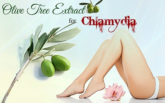 how to treat chlamydia - olive tree extract