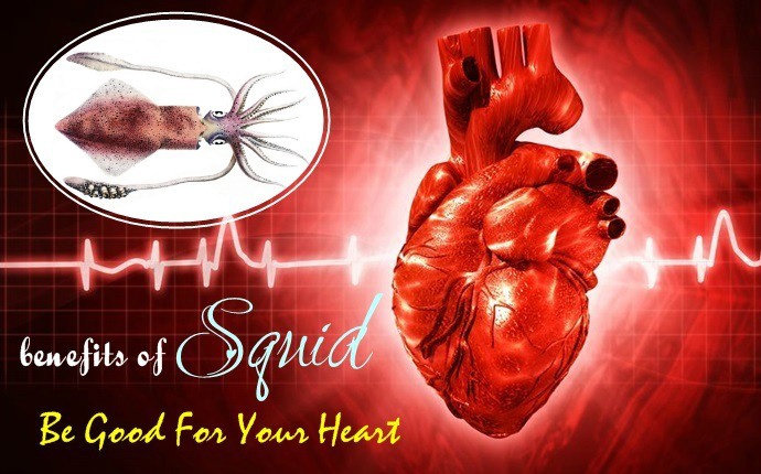 benefits of squid - be good for your heart