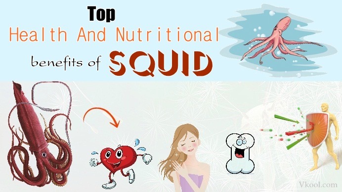 health benefits of squid
