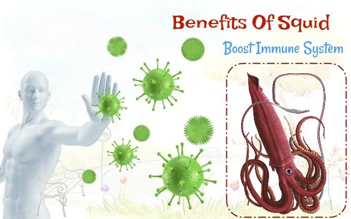 benefits of squid - boost immune system