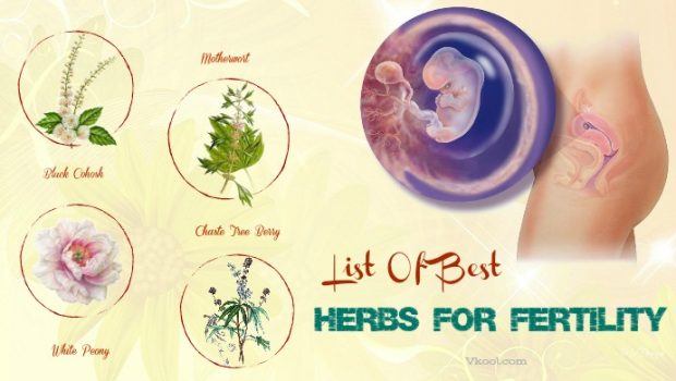 best herbs for fertility