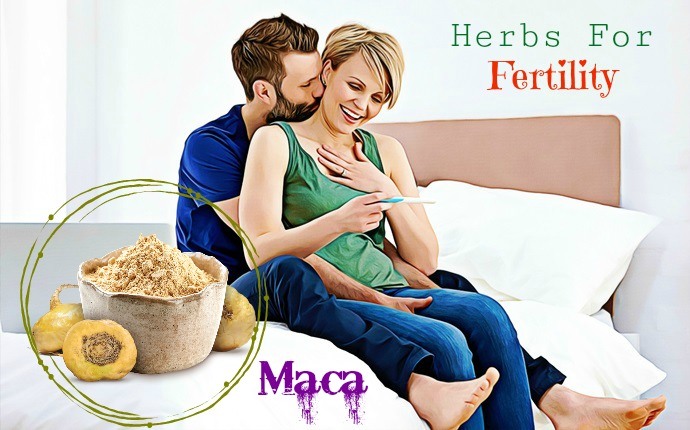 herbs for fertility - maca