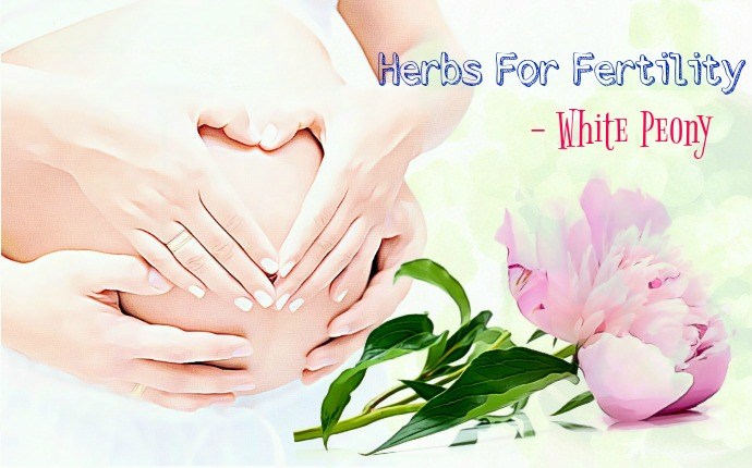 herbs for fertility - white peony