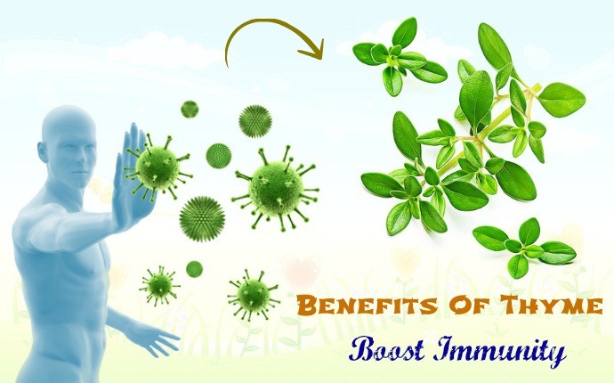 benefits of thyme - boost immunity