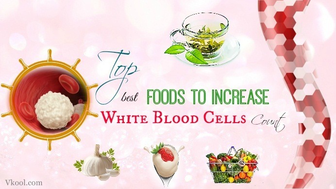 foods to increase white blood cells